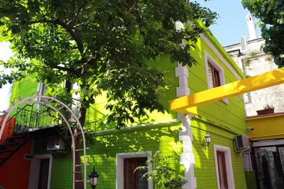 a green and yellow house with a tree in front at The Zanadu İstanbul in Istanbul