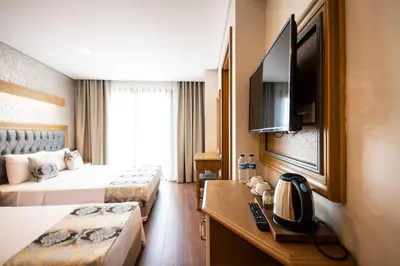 a hotel room with two beds and a flat screen tv at Eliza Hotel in Istanbul