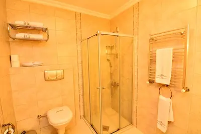 a bathroom with a shower and a toilet at Santa Ottoman Hotel in Istanbul