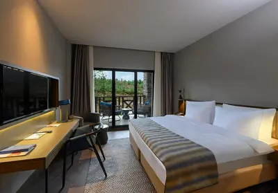 a hotel room with a bed and a desk and a television at Elite World Grand Sapanca in Sapanca