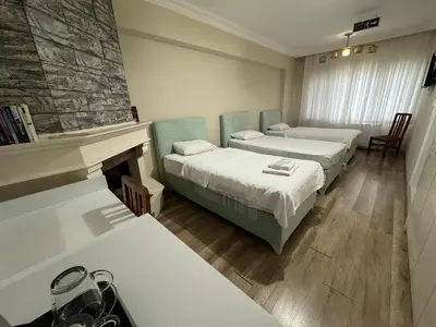 a room with two beds and a fireplace at Doğa Villa Guest House in Buyukcekmece