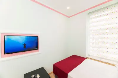a bedroom with a bed and a tv on a wall at TAXİM ELEGANCE SUİTES in Istanbul