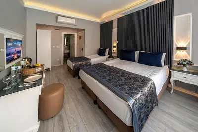 a hotel room with two beds and a television at Beyazit Palace Hotel in Istanbul