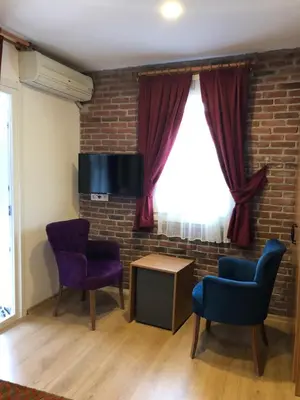 a living room with two chairs and a tv at Masal Hotel in Buyukada