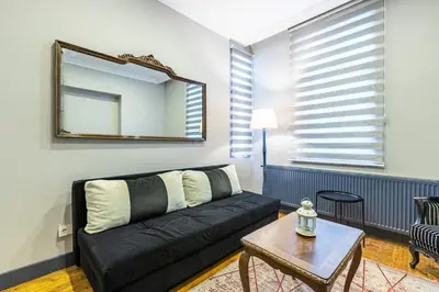 a living room with a black couch and a mirror at Ganbaru Tours - Flats in Galata in Istanbul