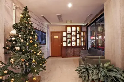 a christmas tree in a living room with a couch at Suadhan Hotel in Istanbul