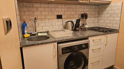 a kitchen with a sink and a washing machine at The Pashas House in Istanbul