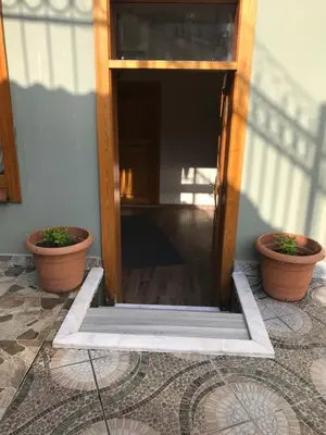 two potted plants sitting next to a door at Green Mansion in Istanbul