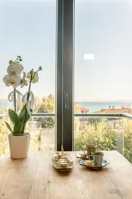 a table with two plates and a plant and a window at The Camelot Hotel in Istanbul
