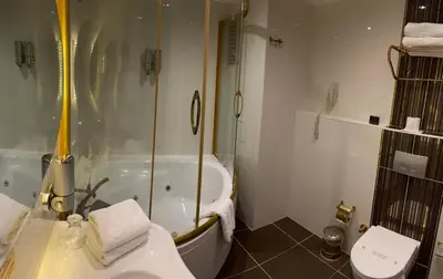 a bathroom with a shower and a toilet and a sink at Black Bird Thermal Hotel & SPA in Gokcedere
