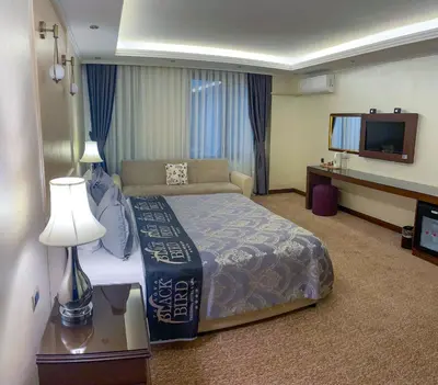 a hotel room with a bed and a television at Black Bird Thermal Hotel & SPA in Gokcedere