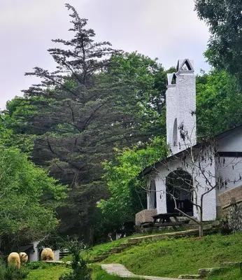 an old church with sheep grazing in front of it at Polonezköy Country Club & Accommodation in the Wildlife Park! in Beykoz