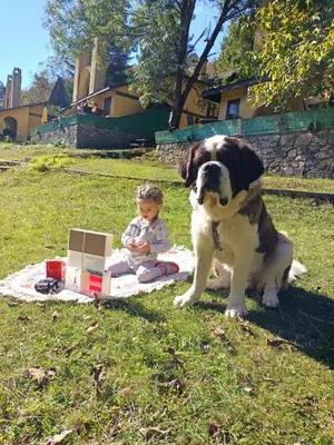a dog sitting next to a baby sitting on a blanket at Polonezköy Country Club & Accommodation in the Wildlife Park! in Beykoz