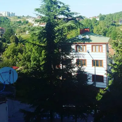 a large white building with a tree in front of it at Thermal Orkide Pansiyon in Yalova