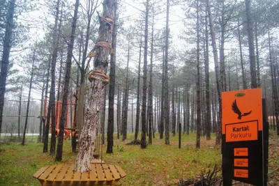 a tree with a sign in the middle of a forest at LONGOSPHERE GLAMPING in Kırklareli