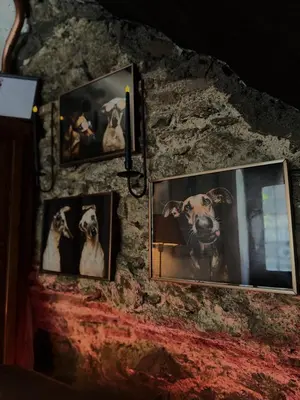 a group of pictures of dogs on a wall at Reu de Hotel in Istanbul
