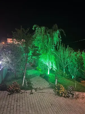 a group of trees decorated with green lights at Golden Hour Apartment بورصة شقة مريحة Bursa Nilufer مَنْظَرٌ جَمِيلٌ in Nilüfer