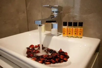 a bathroom sink with a water faucet with food in it at Duo Galata Hotel in Istanbul