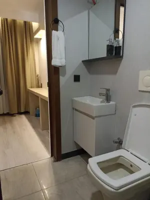 a bathroom with a white toilet and a sink at Doğan Palas Suites in Istanbul
