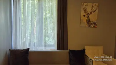 a window with a white curtain and a tree at VESTA RESORT BUTİK HOTEL in Istanbul