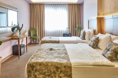 Gallery image of Atro Hotel in Istanbul