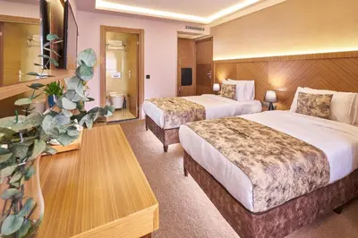 Gallery image of Atro Hotel in Istanbul