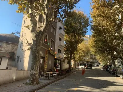 a city street with a tree and a building at Valeria House in Istanbul
