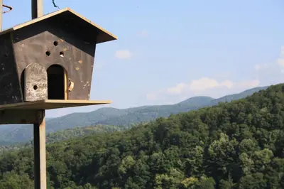 a bird house sitting on top of a mountain at Zumrut Bahce in Gokcedere