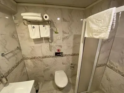 a bathroom with a white toilet and a shower at Hotel Büyük Levent in Istanbul