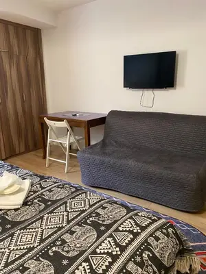 a bedroom with a couch and a desk with a television at Istanbul Hub Flats in Istanbul