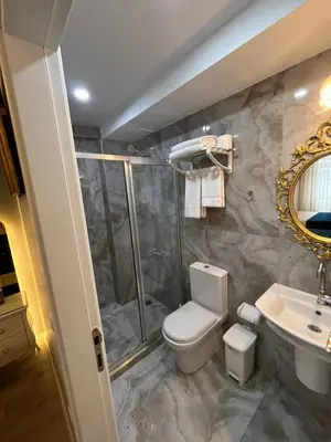 a bathroom with a toilet and a shower and a sink at Constantinopolis Hotel in Istanbul