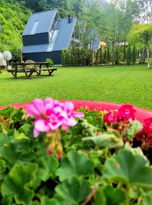 a flower bed with pink flowers in front of a house at Naturkoy Sapanca in Sakarya