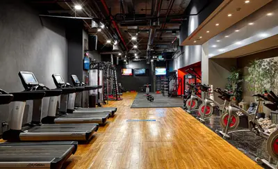 a gym with rows of treadmills and exercise bikes at G Tower Furnished Apartment Rentals in Istanbul