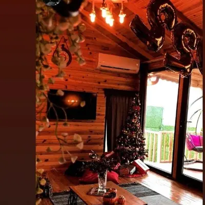 a living room with a christmas tree in a cabin at Dorabungalov in Sakarya