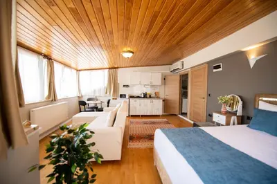a bedroom with a bed and a living room at Galapera Apartments in Istanbul
