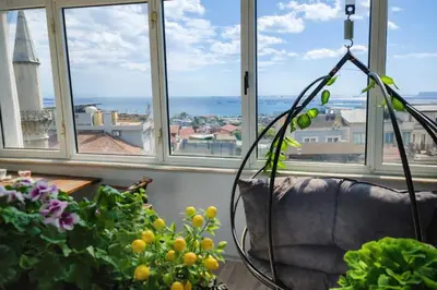 a room with windows with a chair and a plant at Alpacino Apart Hotel in Istanbul