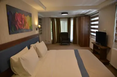 a hotel room with a bed and a television at Feel & Live Hotel Villas Restaurant Sapanca in Sakarya