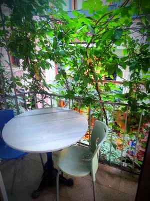 a white table and two chairs in front of a plant at Mimoza İstiklal Apart Hotel in Istanbul