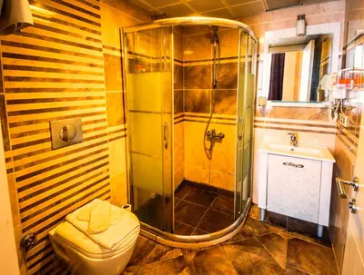 a bathroom with a shower and a toilet at Montagna Hera Hotel Taksim in Istanbul