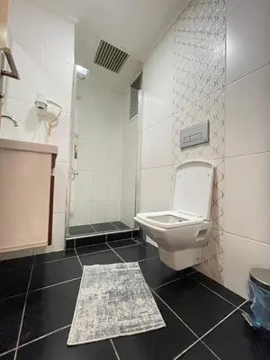 a bathroom with a toilet and a shower at Asteria House in Istanbul