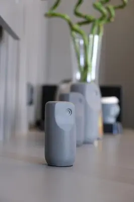 a small speaker sitting on a table with a vase at Dilens Bosphorus Hotel in Istanbul