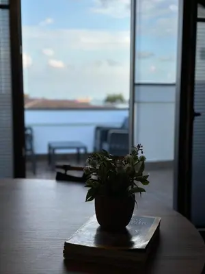 a plant sitting on top of a book on a table at KA Hotel & Suites in Istanbul