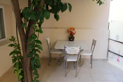 a table and chairs in a room with a plant at Carvan HOTEL in Istanbul