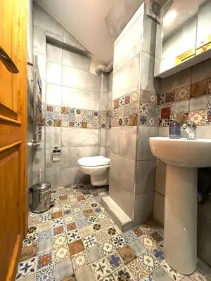 a bathroom with a toilet and a sink at Authentic Turkish Home Suite in Istanbul
