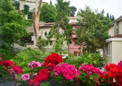 a group of flowers in front of a pink house at Cute Charming 1bed1bath Bebek Hidden Gem! #77 in Istanbul