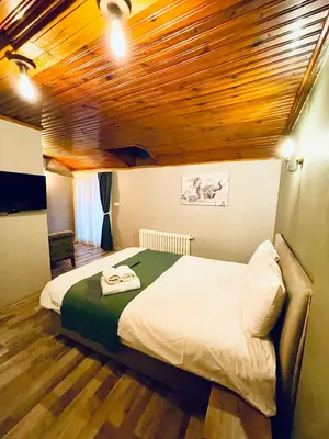 a bedroom with a large bed with a wooden ceiling at Puffin Boutique - Istanbul in Istanbul