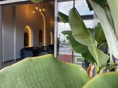 a living room with a large green plant in the foreground at Agora Royal Residence in Esenyurt