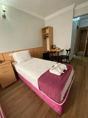 a bedroom with a large bed with a purple blanket at HOTEL ÖZSEFA in Istanbul