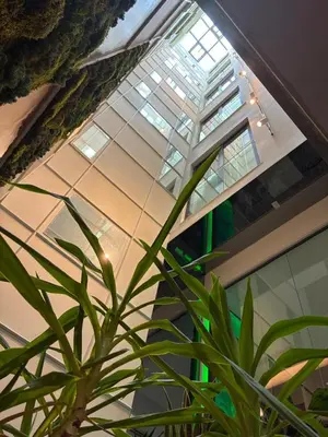 a plant in front of a building with windows at Hotel Nena Sultanahmet in Istanbul