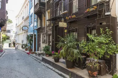 a cobblestone street in a city with potted plants at Naz Wooden House Inn in Istanbul